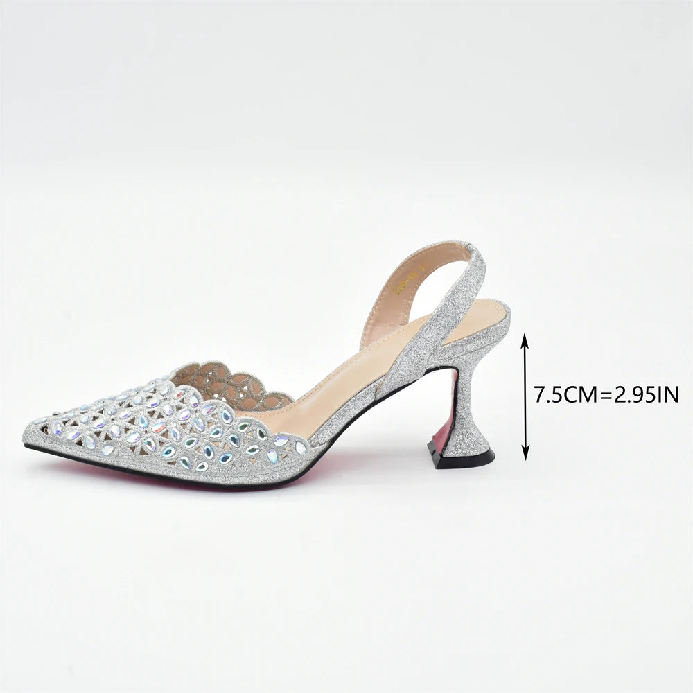Luxury Silver Shoe and Bag Set