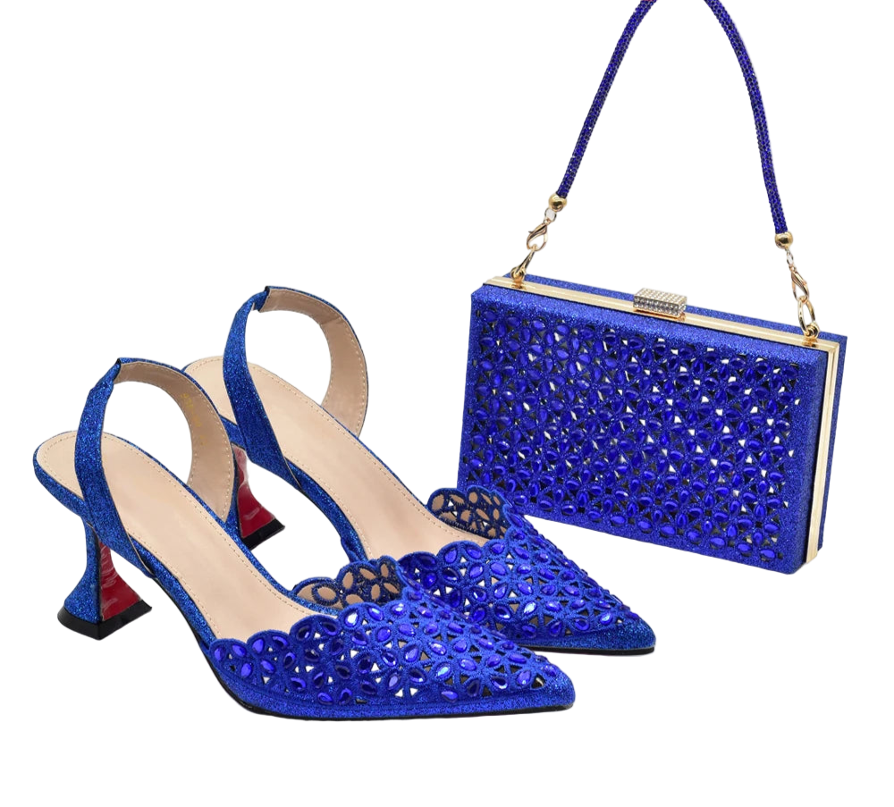 Luxury Silver Shoe and Bag Set